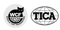 Системы TICA и WCF